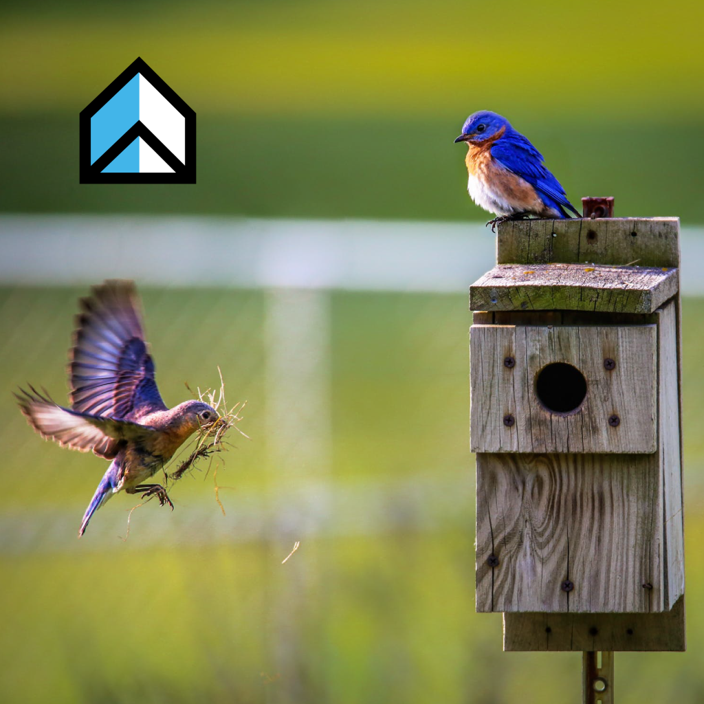 ¿Que implican los gastos comunes?