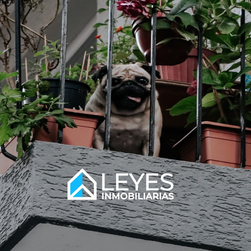 Mascotas en Copropiedad Inmobiliaria 🏢🐶🐱